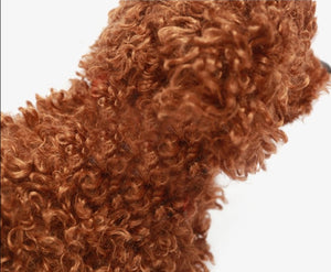 Fuzzy Standing Toy Poodle stuffed Animal Plush Toy-Soft Toy-Dogs, Home Decor, Soft Toy, Stuffed Animal, Toy Poodle-5
