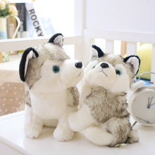 Load image into Gallery viewer, Image of two super cute Husky stuffed animal plush toys in different sizes sitting on a white bench