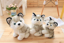 Load image into Gallery viewer, Image of three super cute Husky stuffed animals plush toys in different sizes sitting next to each other on a wooden table