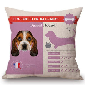 Know Your Akita Cushion Cover - Series 1Home DecorOne SizeBasset Hound