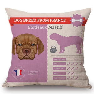 Know Your Japanese Chin Cushion Cover - Series 1Home DecorOne SizeBordeaux Mastiff