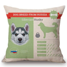 Load image into Gallery viewer, Know Your Japanese Chin Cushion Cover - Series 1Home DecorOne SizeSiberian Husky