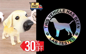 Labrador Love Car Bobble Head-Car Accessories-Bobbleheads, Car Accessories, Dogs, Figurines, Labrador-Labrador Standing + Car Sticker-Express Shipping-17