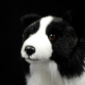 Lifelike Standing Border Collie Soft Plush Toy-Home Decor-Border Collie, Dogs, Home Decor, Soft Toy, Stuffed Animal-2