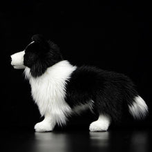 Load image into Gallery viewer, Lifelike Standing Border Collie Soft Plush Toy-Home Decor-Border Collie, Dogs, Home Decor, Soft Toy, Stuffed Animal-3
