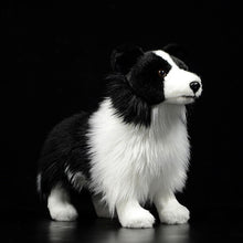 Load image into Gallery viewer, Lifelike Standing Border Collie Soft Plush Toy-Home Decor-Border Collie, Dogs, Home Decor, Soft Toy, Stuffed Animal-1