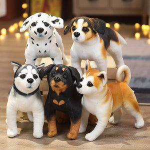 image of dog stuffed animal plush toy collection