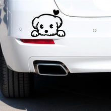 Load image into Gallery viewer, Maltese Love Vinyl Car Stickers-Car Accessories-Car Accessories, Car Sticker, Dogs, Maltese-6