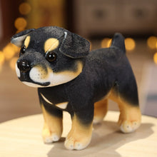 Load image into Gallery viewer, image of a adorable rottweiler stuffed animal plush toy
