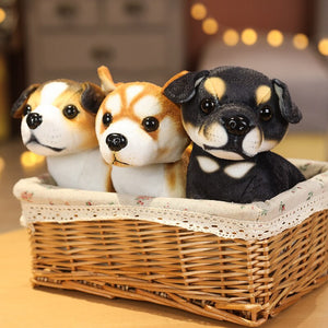 image of an adorable shiba inu stuffed animal plush toy  in a basket