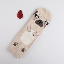 Load image into Gallery viewer, Image of normal length pug socks ladies