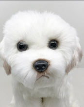 Load image into Gallery viewer, image of an adorable maltese stuffed animal plush toy in white background - zoomed in face view