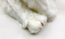 Load image into Gallery viewer, image of an adorable maltese stuffed animal plush toy in white background - zoomed in paw view