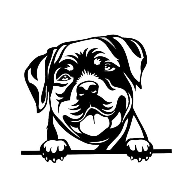 Image of a rottweiler car sticker in the color black