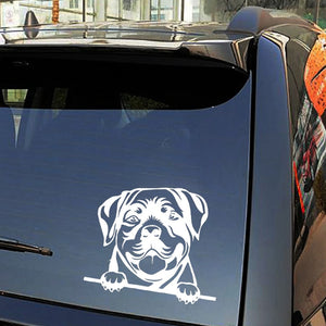 Image of a rottweiler car window sticker in the color white