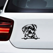 Load image into Gallery viewer, Image of a rottweiler sticker for car in the color black