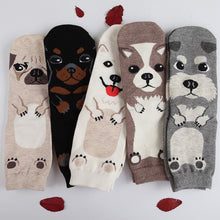 Load image into Gallery viewer, Schnauzer Love Womens Cotton Socks-Apparel-Accessories, Dogs, Schnauzer, Socks-7