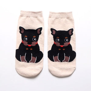 Shiba Inu Womens Ankle Length Socks-Apparel-Accessories, Dogs, Shiba Inu, Socks-Miniature Pinscher-9