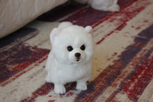 Load image into Gallery viewer, image of an adorable pomeranian stuffed animal plush toy