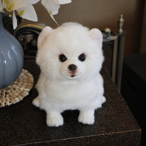 image of an adorable pomeranian stuffed animal plush toy