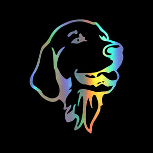 Image of a golden retriever car sticker in reflective rainbow color