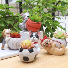 Load image into Gallery viewer, Sports Boston Terrier Succulent Plants Flower Pot-Home Decor-Boston Terrier, Dogs, Flower Pot, Home Decor-12