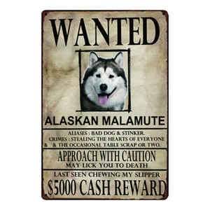 Wanted Airedale Terrier Approach With Caution Tin Poster - Series 1-Sign Board-Airedale Terrier, Dogs, Home Decor, Sign Board-Alaskan Malamute-One Size-3