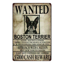 Load image into Gallery viewer, Wanted Airedale Terrier Approach With Caution Tin Poster - Series 1-Sign Board-Airedale Terrier, Dogs, Home Decor, Sign Board-Boston Terrier-One Size-7