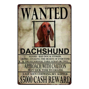 Wanted Border Collie Approach With Caution Tin Poster - Series 1-Sign Board-Border Collie, Dogs, Home Decor, Sign Board-Dachshund-One Size-11