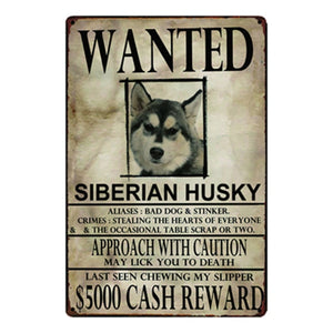 Wanted Newfoundland Approach With Caution Tin Poster - Series 1-Sign Board-Dogs, Home Decor, Newfoundland, Sign Board-Siberian Husky-One Size-22