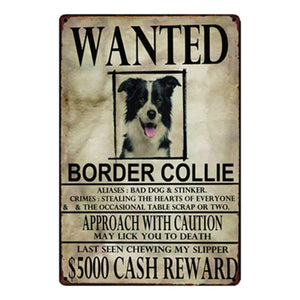 Wanted Newfoundland Approach With Caution Tin Poster - Series 1-Sign Board-Dogs, Home Decor, Newfoundland, Sign Board-Border Collie-One Size-8