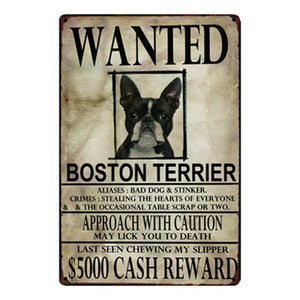 Wanted Newfoundland Approach With Caution Tin Poster - Series 1-Sign Board-Dogs, Home Decor, Newfoundland, Sign Board-Boston Terrier-One Size-9