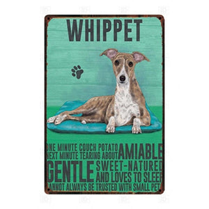 Why I Love My Border Collie Tin Poster - Series 1-Sign Board-Border Collie, Dogs, Home Decor, Sign Board-Whippet-26