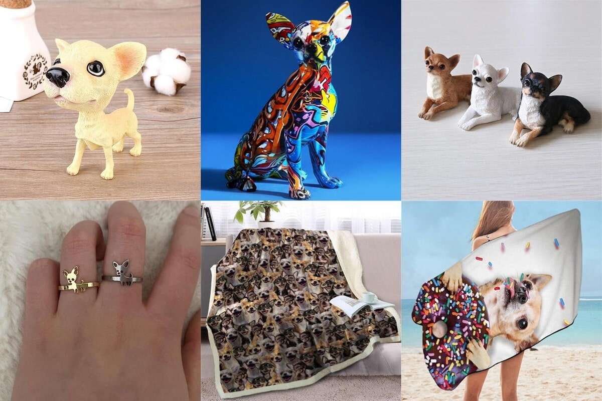 Top 5 Toys for Chihuahuas  The Dog People by