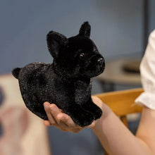 Load image into Gallery viewer, Adorable Black French Bulldog Stuffed Animal Plush Toy
