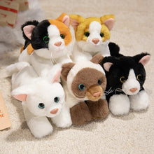 Load image into Gallery viewer, Black and White Cat Stuffed Animal - Adorable Belly Flop Cat-21