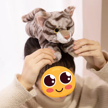 Load image into Gallery viewer, Brown Tabby Cat Stuffed Animal - Adorable Belly Flop Cat-3