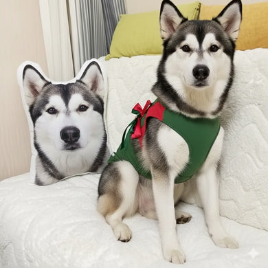 Custom Alaskan Malamute Pillow - Create Your Furry Friend's Plush Likeness