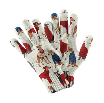 GreyhoundsinFestiveWinterWearWhitegloves 360x