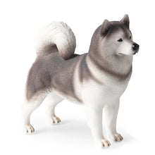 Load image into Gallery viewer, Muscular Brown Chocolate American Bully Figurine