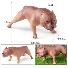 Load image into Gallery viewer, Muscular Brown Chocolate American Bully Figurine