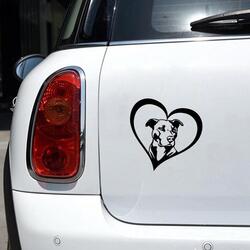 Image of a beautiful Pit Bull car sticker for Pit Bull dog gift lovers