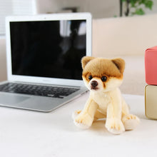 Load image into Gallery viewer, Pomeranian Plush - Sit with Me-Pomeranian-1