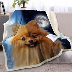 Image of a super cute Pomeranian blanket for Pomeranian dog gift lovers