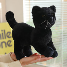 Load image into Gallery viewer, Realistic Black Cat Stuffed Animal - Interested Standing Pose-20