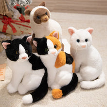 Load image into Gallery viewer, Realistic Black and White Cat Plush - Precious Lifelike Kitty-29