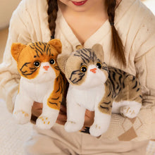 Load image into Gallery viewer, Realistic American Shorthair Cat Plush - Brown and White Tabby Coat - Cute flat-face Kitten-22