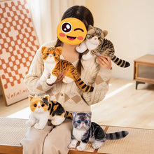 Load image into Gallery viewer, Realistic Brown Tabby and White Cat Plush Toy - Cute Sitting Kitten-Stuffed Animals-Cat Memorial Gifts,Cats,Stuffed Animal,Tabby Cat-6