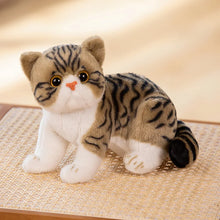 Load image into Gallery viewer, Realistic American Shorthair Cat Plush - Brown and White Tabby Coat - Cute flat-face Kitten-Brown stripe-26cm-1