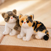 Load image into Gallery viewer, Realistic Calico Tabby Cat Plush - Cute flat-face Kitten-18